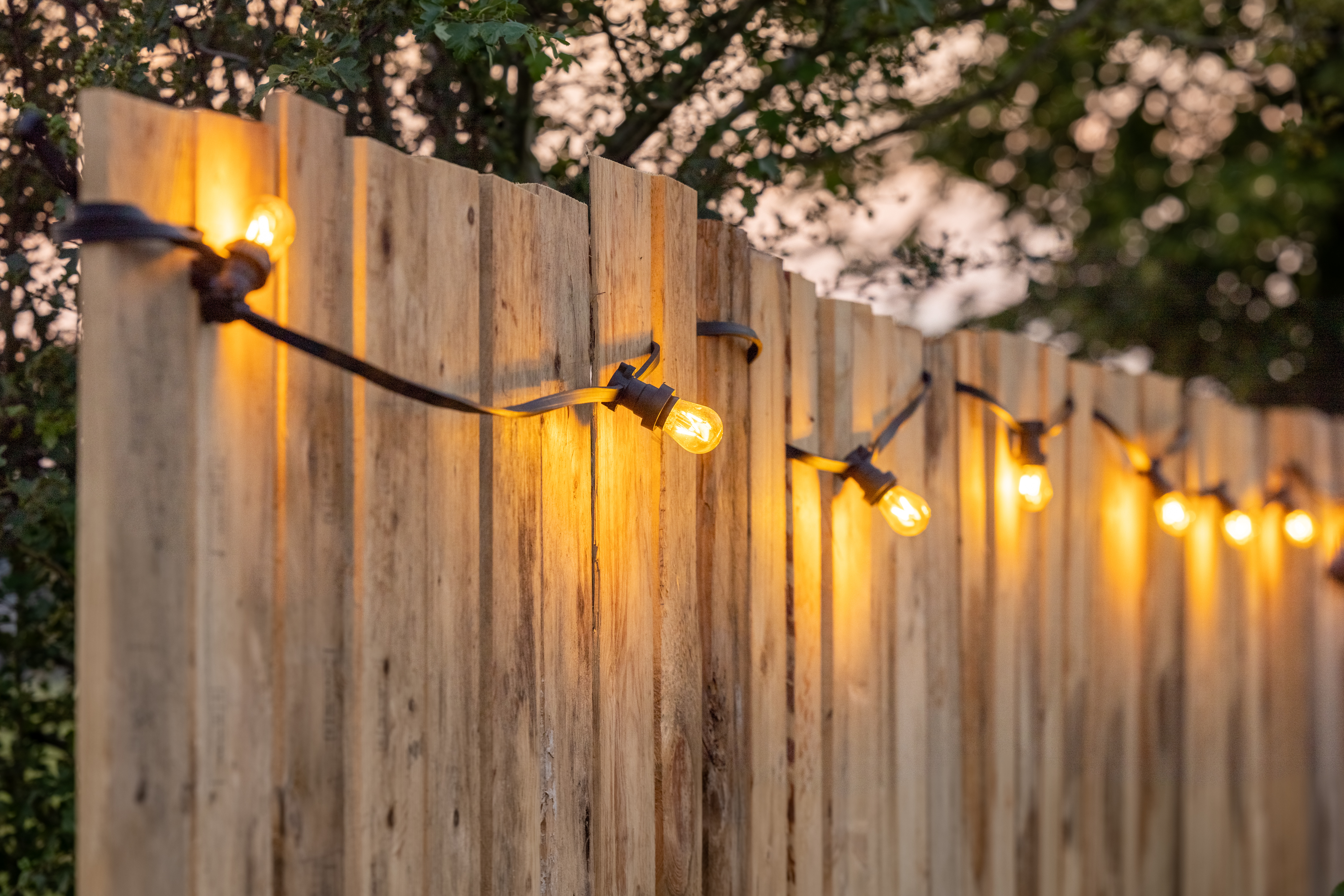 AdobeStock_462868573
