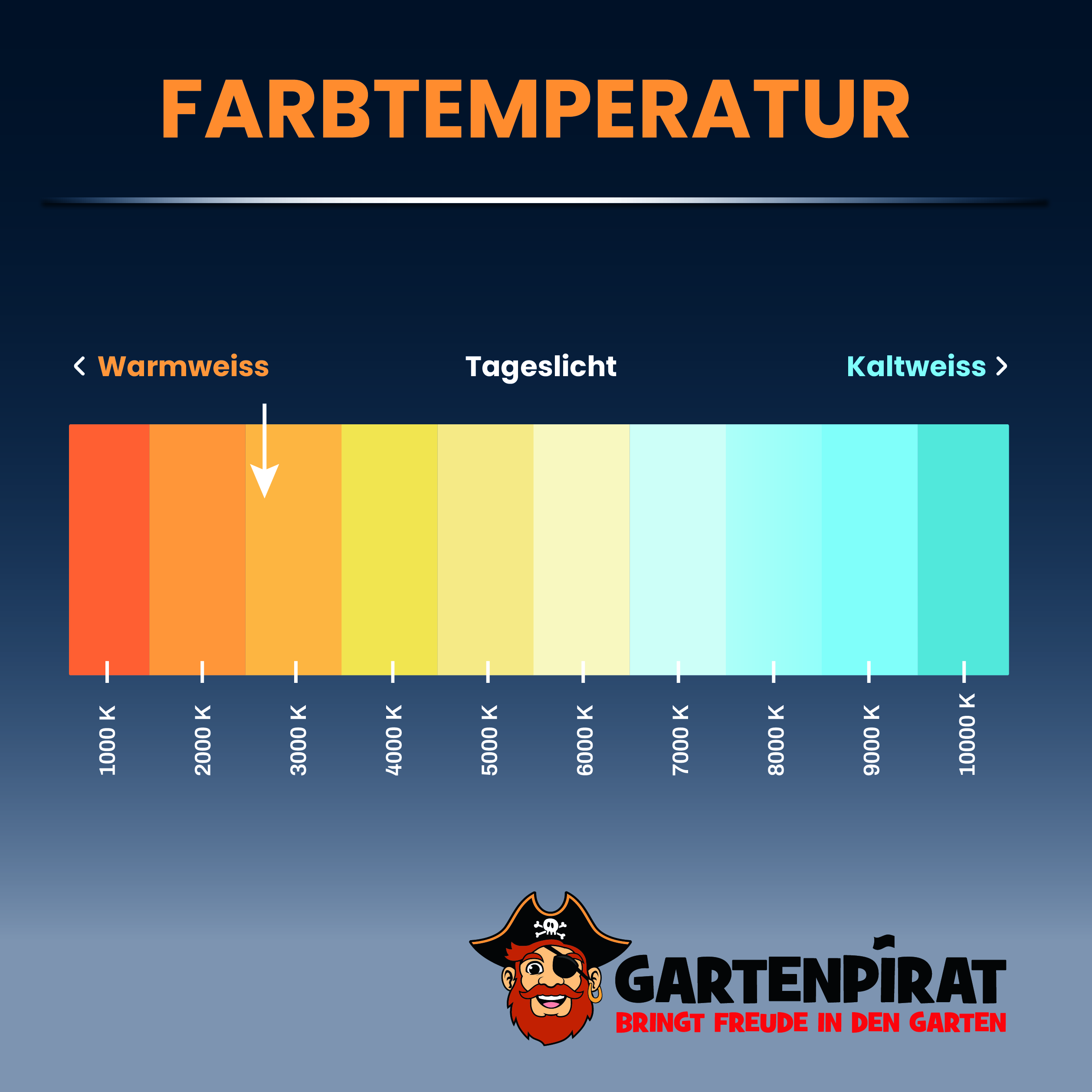 Lichterkette Ast Weidenrebe 160 LED warmweiß mit Timer Länge Wanddeko Baumzweig 230 cm Lichterkette Ast Weidenrebe 160 LED warmweiß mit Timer Länge Wanddeko Baumzweig 230 cm