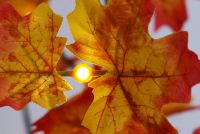 LED-Leuchtbaum Jährliche Dekoration mit Ahorn-Blätter warmweiß innen außen  LED-Leuchtbaum Jährliche Dekoration mit Ahorn-Blätter warmweiß innen außen