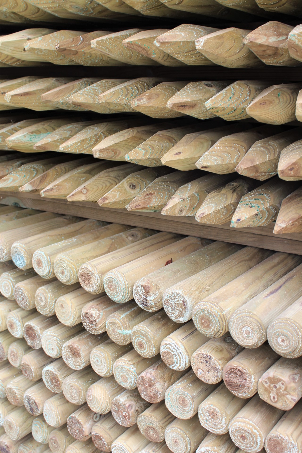 Pfahl Ø 4,6 cm Höhe 150 cm Holzpfahl Kiefer imprägniert Pflanzstab Gartenpfahl Rankhilfe Baumpfahl